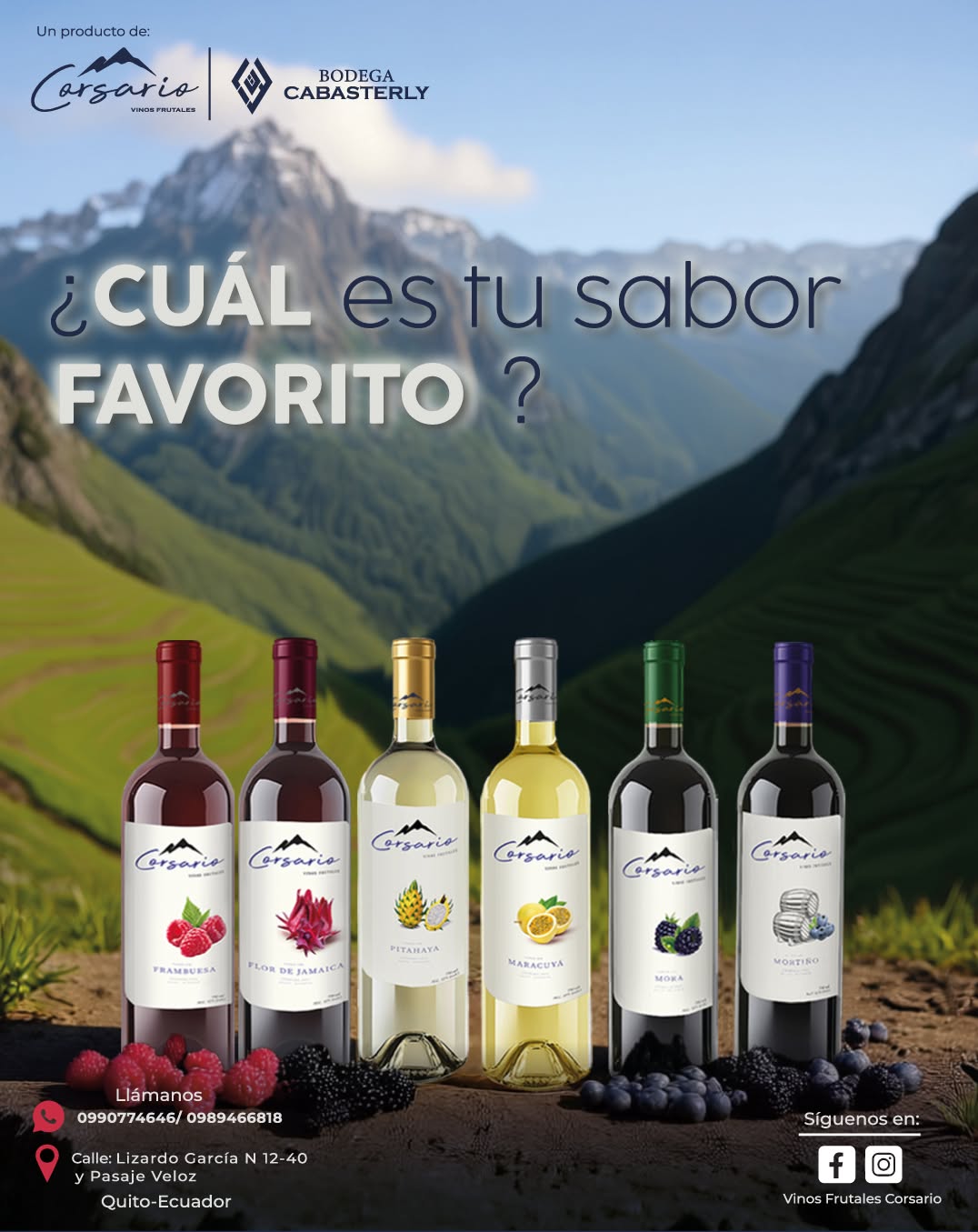 Vinos Corsario — Sabores favoritos
